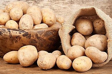 动视暴雪成立新工作室：打造全新的叙事类3A游戏大作